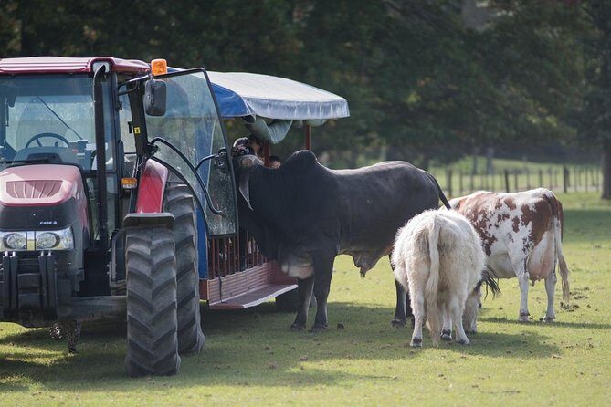 Agrodome Farm Experience including Farm Show and Farm Tour - Rotorua - The Sum Up: Who Should Consider This Tour?