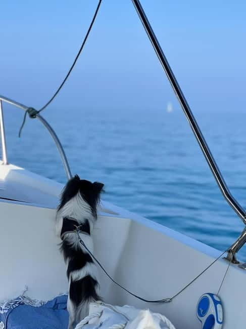 Agropoli: sunset boat tour with aperitif - Why This Sunset Boat Tour Stands Out