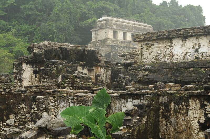 Agua Azul, Misol-Ha & Palenque Ruins from San Cristobal - FAQ