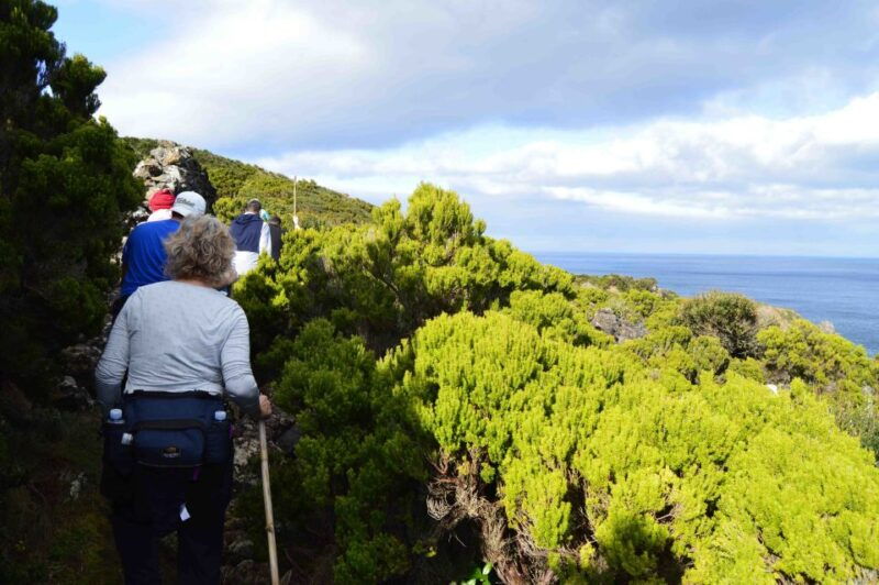 agualva-bays-hiking-terceira-island