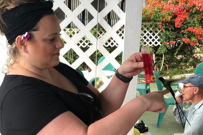 ahhh-ras-natango-gallery-and-garden-private-tour-transportation