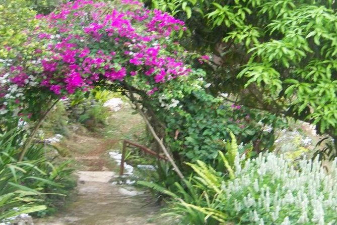 ahhh-ras-natango-gallery-and-garden-private-transfer