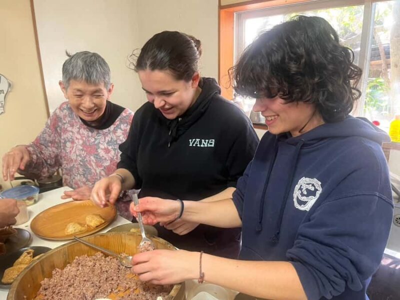 Aichi: Atsumi Peninsula, A Satoyama Cooking Experience - Key Points