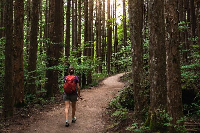 Aichi Museum of Flight Tour from Nagoya with English Guide - FAQ