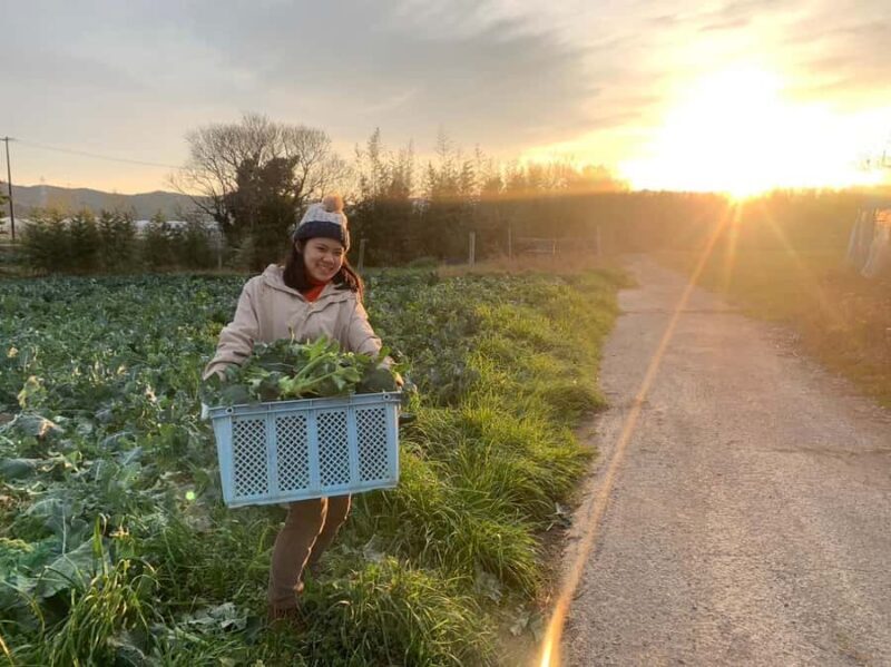 Aichi: Regenerative Farm Stay with Lunch at Doronko Village - Exploring the Heart of Atsumi Doronko Village