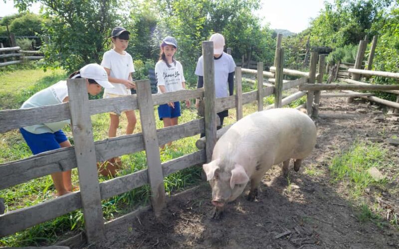 Aichi: Regenerative Farm Stay with Lunch at Doronko Village - Final Thoughts