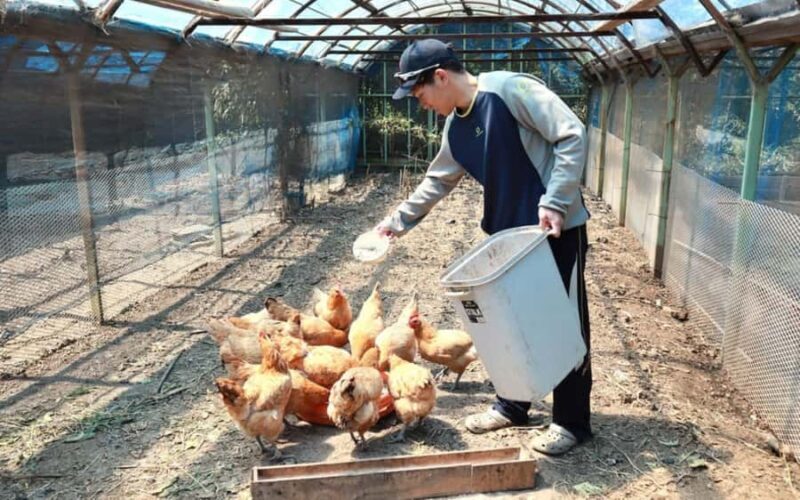 Aichi: Regenerative Farm Stay with Lunch at Doronko Village - FAQ