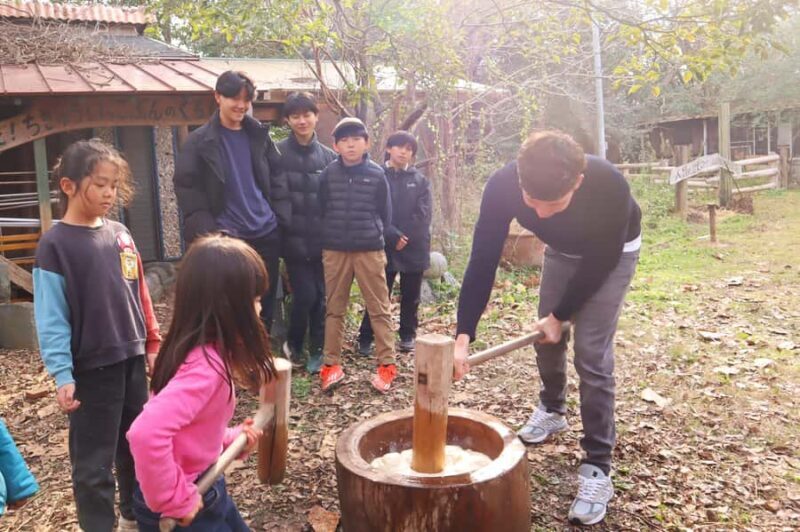 Aichi: Traditional Mochi-Pounding Experience at a Local Farm - Key Points