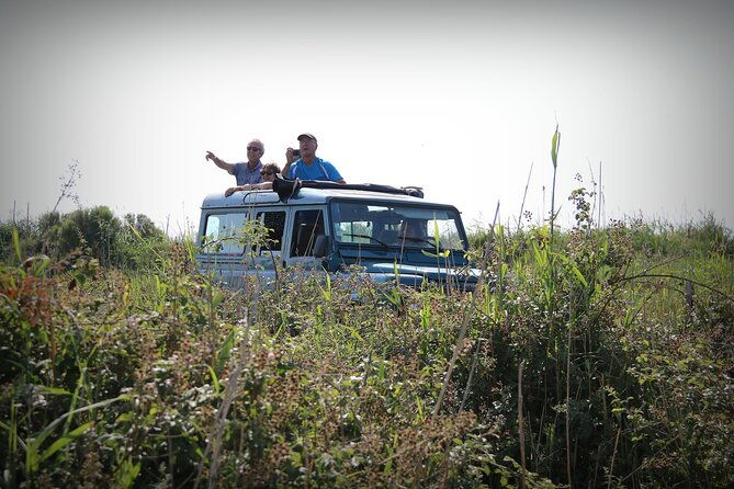 aigues-mortes-4x4-photo-safari-in-the-camargue
