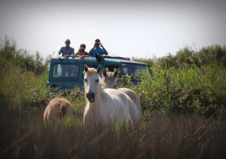 aigues-mortes-jeep-photo-safari-in-camargue