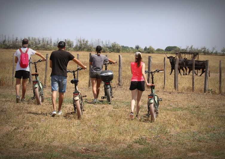 aigues-mortes-safari-on-bike-ebike-tour-in-camargue