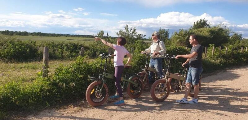 aigues-mortes-safari-on-bike-ebike-tour-in-camargue