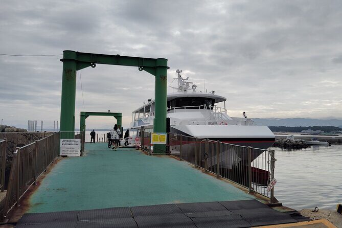 Ainoshima Island Private Cat Tour with Ferry Ride - Who Will Love This Tour?
