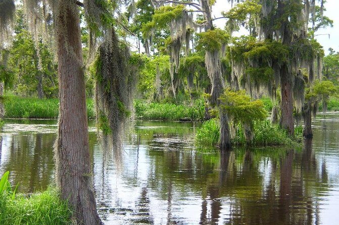 Airboat Swamp and Destrehan Plantation Tour from New Orleans - The Experience in Detail