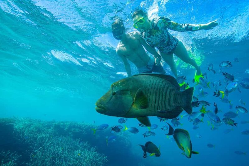 Airlie Beach: Adults-Only Whitehaven Beach Sailing Tour - Who Would Love This Tour?