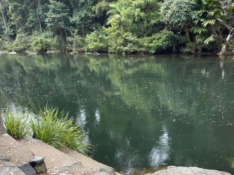Airlie Beach: Eungella Wild Platypus Encounter - Final Thoughts