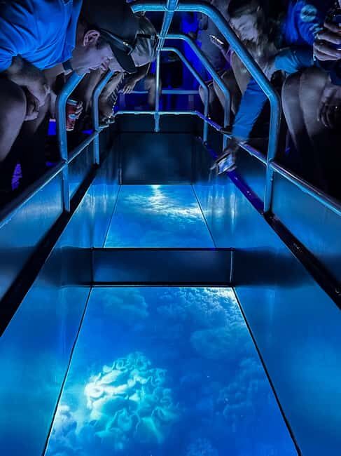 Airlie Beach: Glass-Bottom Boat Night Tour - The Experience in Detail
