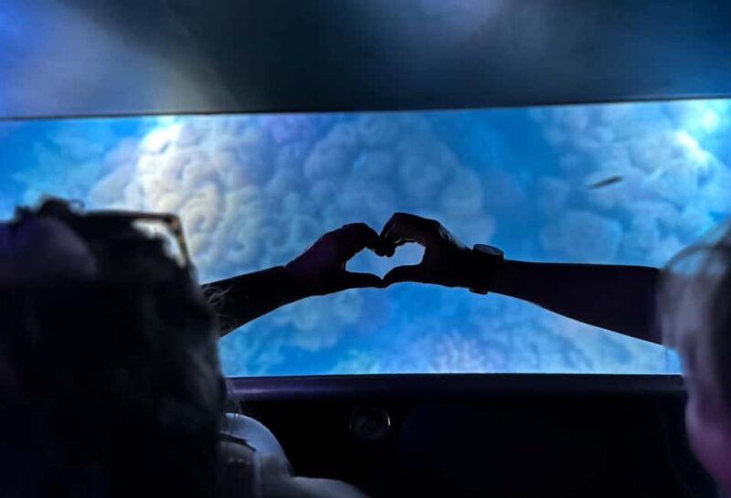 Airlie Beach: Glass-Bottom Boat Night Tour - Final Thoughts