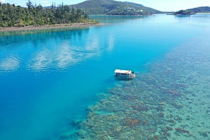 Airlie Beach Glass Bottom Boat Tour - Key Points: