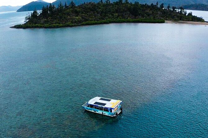 Airlie Beach Glass Bottom Boat Tour - A Closer Look at the Airlie Beach Glass Bottom Boat Experience