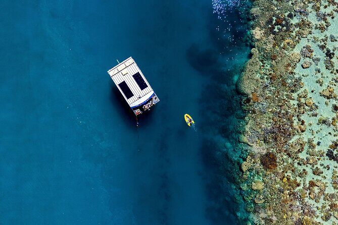 Airlie Beach Glass Bottom Boat Tour - Final Thoughts: Is It Worth It?