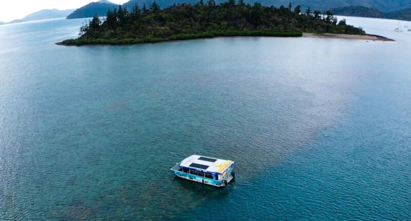 Airlie Beach: Glass-Bottom Boat Tour - Key Points