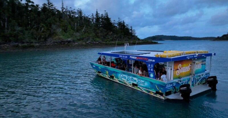 Airlie Beach: Glass-Bottom Boat Tour - An Honest Look at the Glass-Bottom Boat Experience