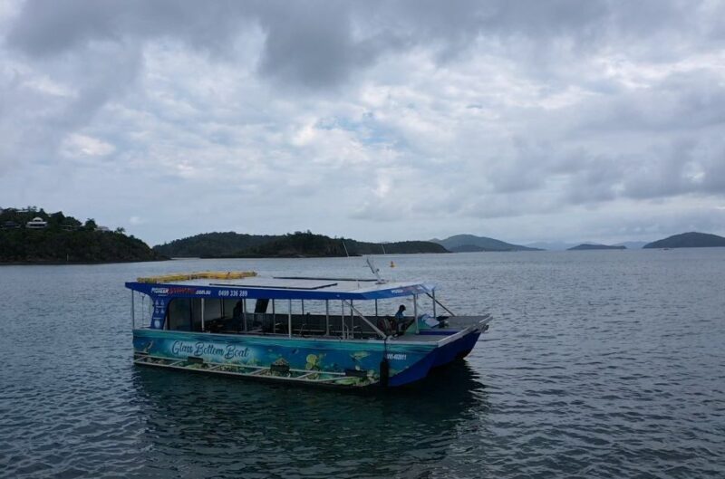 Airlie Beach: Glass-Bottom Boat Tour - Who Is This Tour Perfect For?