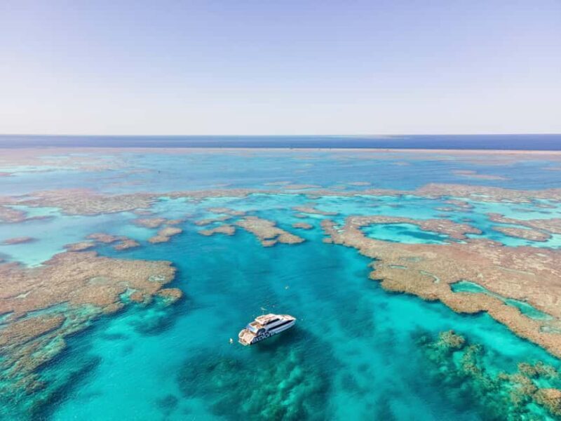 Airlie Beach: Great Barrier Reef Snorkel from Shute Harbour - Practical Details and Value for Money