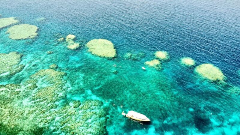 Airlie Beach: Great Barrier Reef & Whitehaven Beach Tour - Value, Pricing, and Overall Experience
