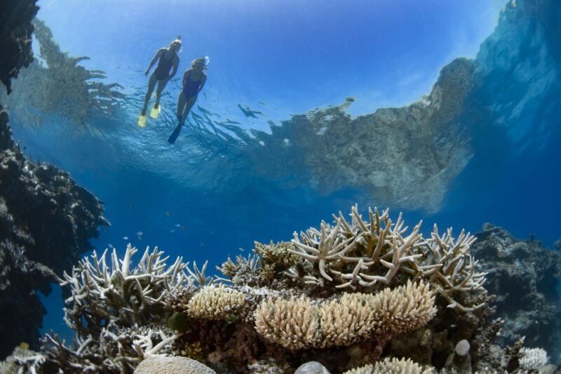 Airlie Beach: Great Barrier Reef & Whitehaven Beach Tour - Final Thoughts