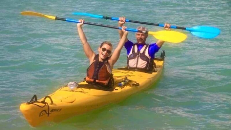 Airlie Beach: Half Day Turtle Tour Sea Kayaking Adventure - Quick Overview