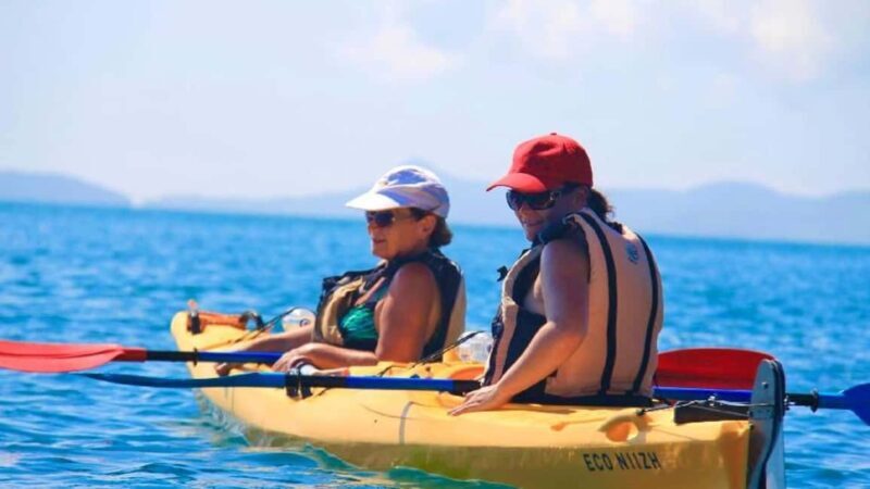 Airlie Beach: Half Day Turtle Tour Sea Kayaking Adventure - Detailed Breakdown of the Experience