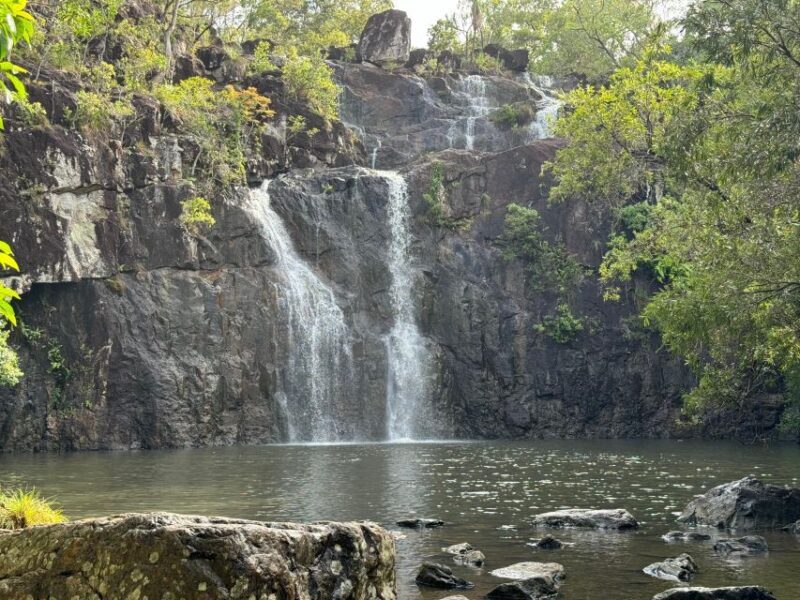 Airlie Beach: Roundtrip Tour to Cedar Creek. - Why Choose This Tour?