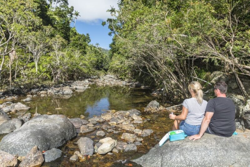 Airlie Beach: Segway Rainforest Discovery Tour - The Sum Up