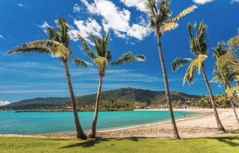 Airlie Beach: The Airlie Hopper Sightseeing Bus - Key Points