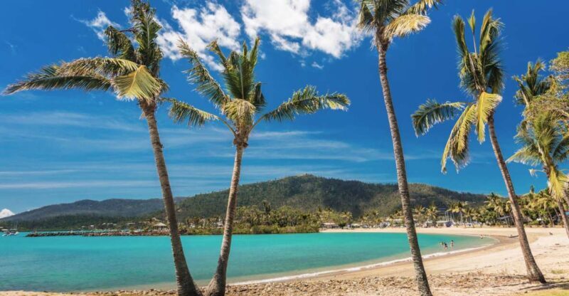 Airlie Beach: The Airlie Hopper Sightseeing Bus - The Real Value of This Tour