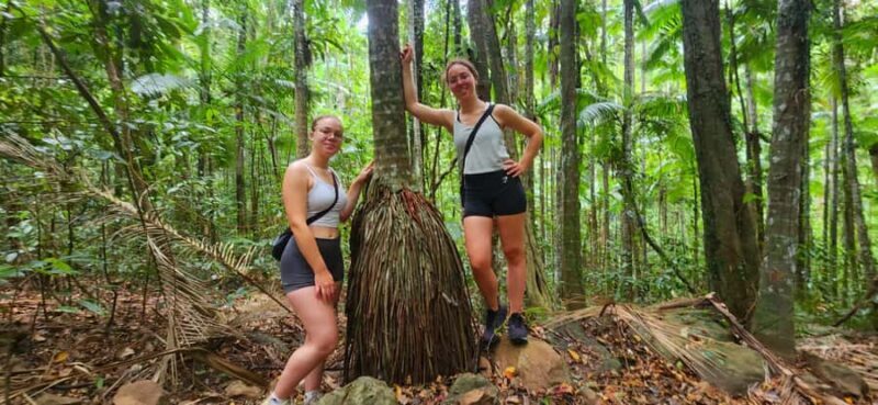 Airlie Beach: Waterfall & Rainforest Bushwalk Eco Adventure - Deep Dive into the Experience