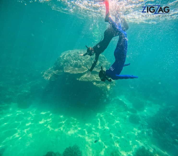 Airlie Beach: Whitehaven Beach Day Tour with Snorkel Option - A Close Look at the Itinerary