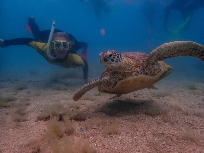 Airlie Beach: Whitsunday Islands Sailing, SUP & Snorkel Tour - FAQs