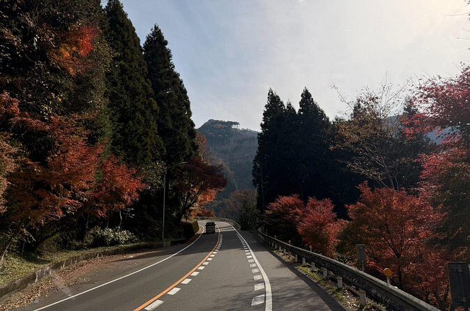 Airport Charter Service Around Kobe - Who Is This Service Best For?