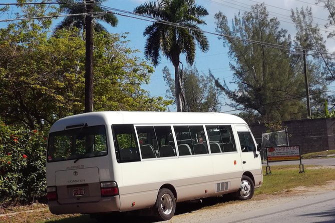 airport-negril-hotels-transfers-and-returns-for-1-4-persons