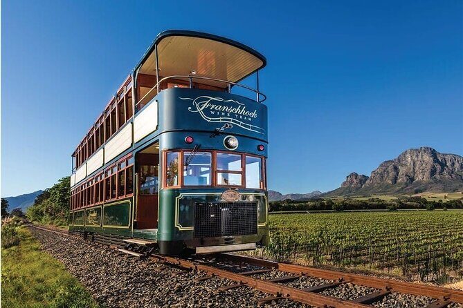 Airport Shuttle to and from Cape Town Airport - Overview of the Experience