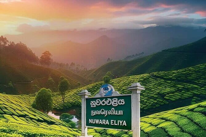 Airport Taxi Transfers from Colombo Airport to Nuwara Eliya - Introducing the Airport Taxi Transfers from Colombo Airport to Nuwara Eliya