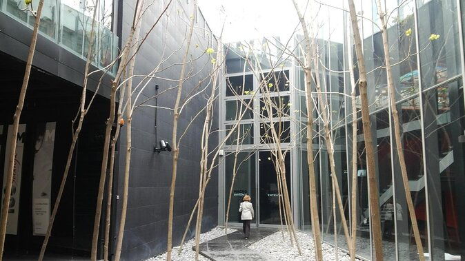 airport-transfer-arrivals-plus-tour-of-rome-5-hrs