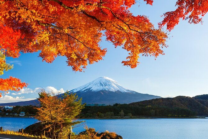 airport-transfer-between-narita-and-mount-fuji-or-hakone-onsen