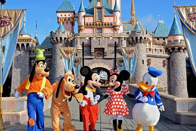 Airport Transfer between Narita and Tokyo or Disney or Yokohama - An In-Depth Look at the Transfer Experience