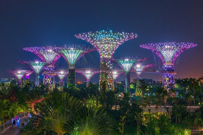 Airport Transfer: SIN Airport to Singapore by Business Car - The Booking Process and Flexibility