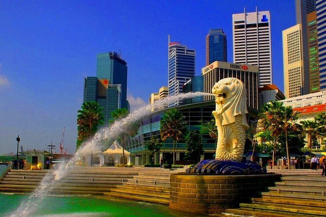 Airport Transfer: Singapore to SIN Airport by Business Car - Why Choose this Airport Transfer Service?