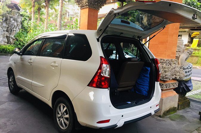 Airport Transfer to Ubud - What You Should Know About Pricing and Cancellation